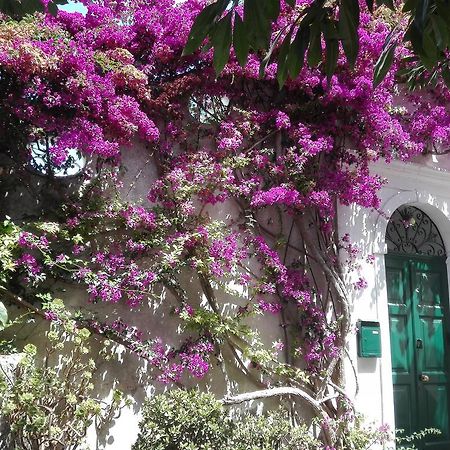 Ferienwohnung Il Gelso Anacapri  Exterior foto