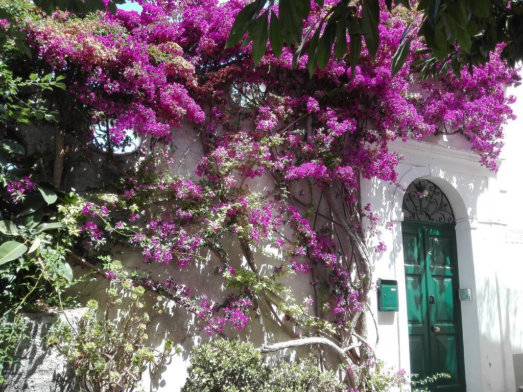 Ferienwohnung Il Gelso Anacapri  Exterior foto